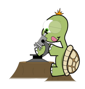 turtle-scientist