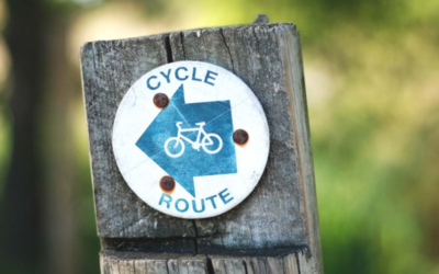 Investigación: El Viaje en la Inteligencia Emocional y la «Teoría del Cambio» de Six Seconds